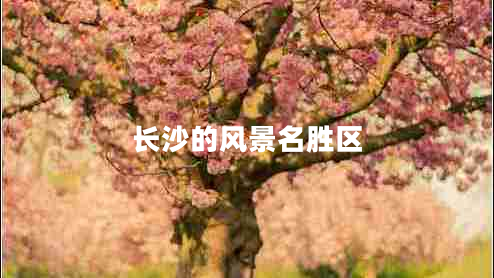 長(cháng)沙的風(fēng)景名勝區