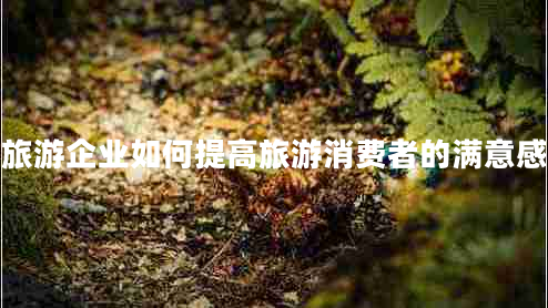 旅游企業(yè)如何提高旅游消費者的滿(mǎn)意感