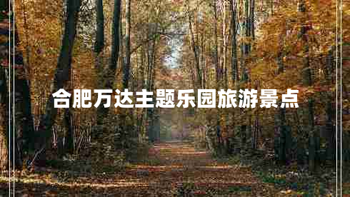 合肥萬達主題樂園旅游景點