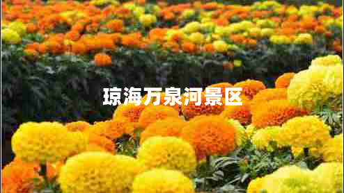 瓊海萬(wàn)泉河景區