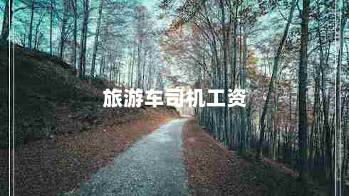 旅游車(chē)司機工資