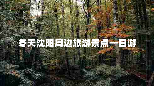 冬天沈陽(yáng)周邊旅游景點(diǎn)一日游