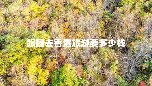 跟團去香港旅游要多少錢(qián)