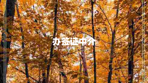 辦簽證中介