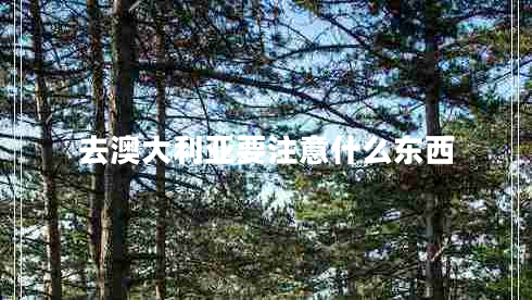 去澳大利亞要注意什么東西