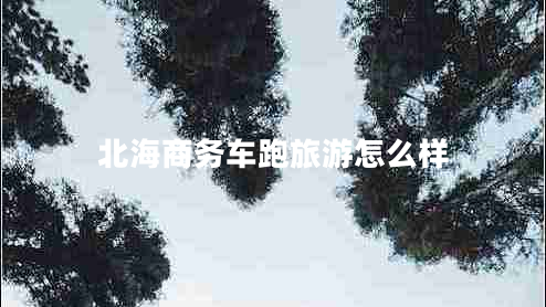 北海商務(wù)車(chē)跑旅游怎么樣