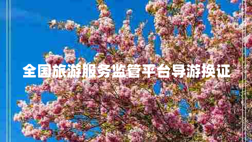 全國旅游服務(wù)監管平臺導游換證