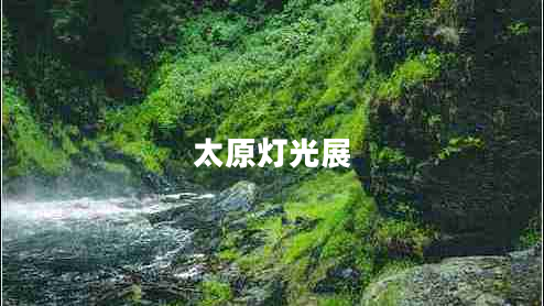 太原燈光展