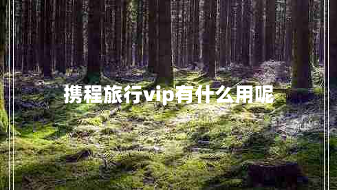 攜程旅行vip有什么用呢