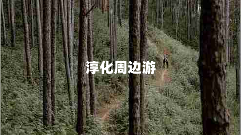 淳化周邊游