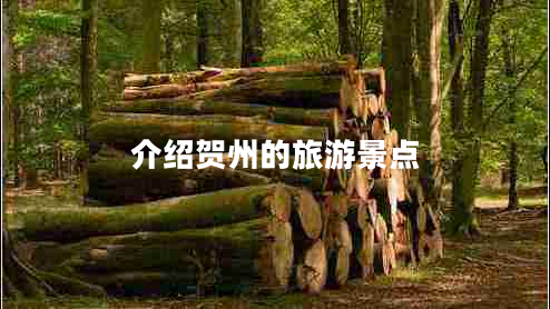 介紹賀州的旅游景點(diǎn)