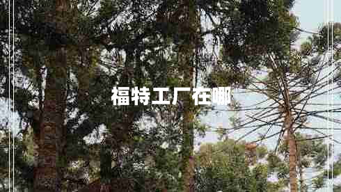 福特工廠(chǎng)在哪