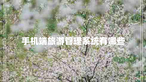 手機端旅游管理系統有哪些