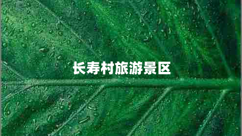 長(cháng)壽村旅游景區