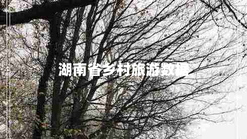 湖南省鄉村旅游數據