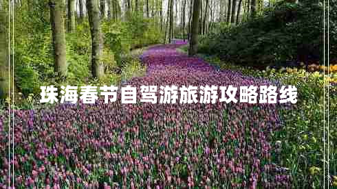 珠海春節自駕游旅游攻略路線(xiàn)