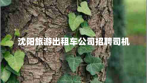 沈陽(yáng)旅游出租車(chē)公司招聘司機