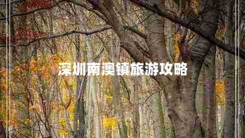深圳南澳鎮旅游攻略