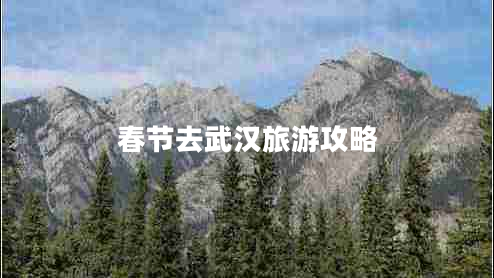 春節去武漢旅游攻略