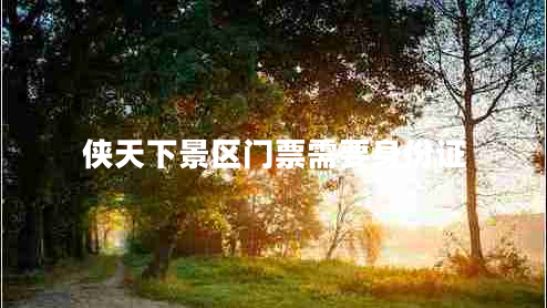 俠天下景區門(mén)票需要身份證