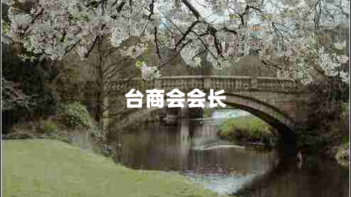 臺商會(huì )會(huì )長(cháng)