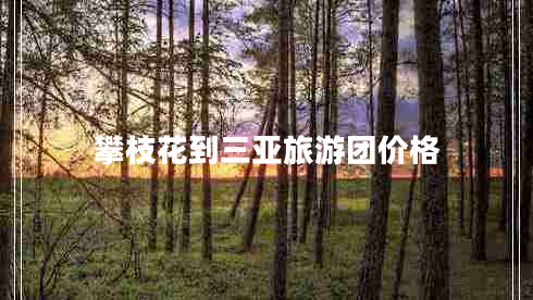 攀枝花到三亞旅游團價(jià)格