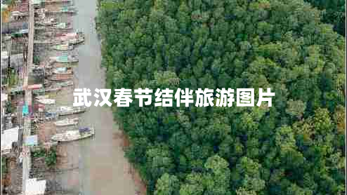 武漢春節結伴旅游圖片