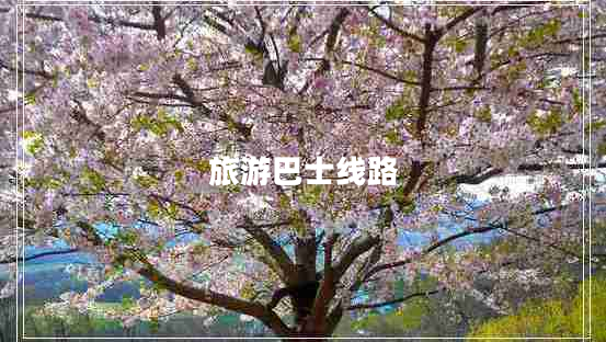 旅游巴士線(xiàn)路
