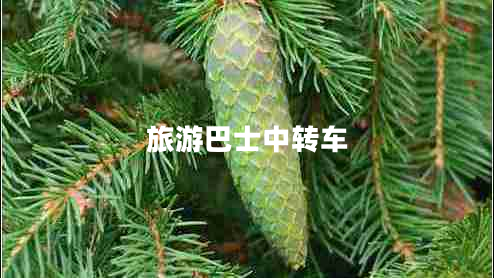 旅游巴士中轉車(chē)