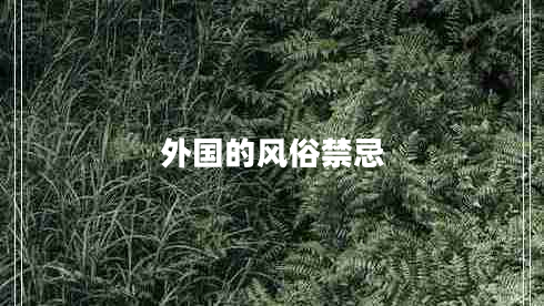 外國的風(fēng)俗禁忌