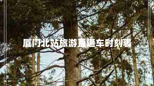 廈門(mén)北站旅游直通車(chē)時(shí)刻表