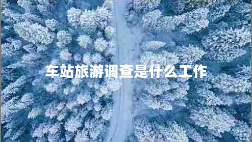 車(chē)站旅游調查是什么工作