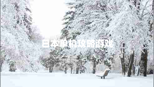 日本單機攻略游戲