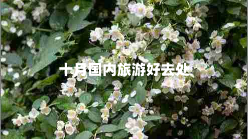 十月國內旅游好去處