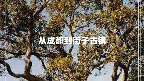 從成都到街子古鎮