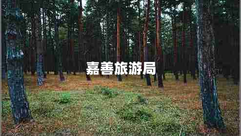 嘉善旅游局