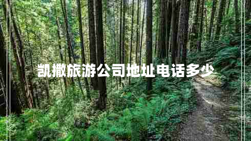 凱撒旅游公司地址電話(huà)多少