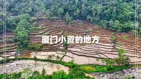 廈門(mén)小資的地方