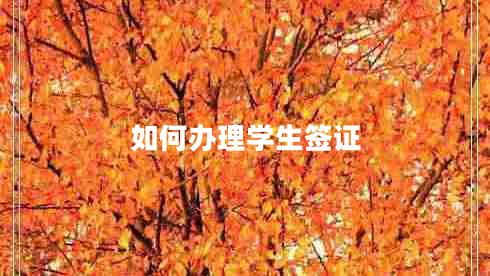 如何辦理學(xué)生簽證