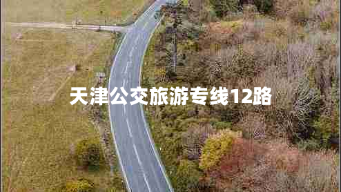天津公交旅游專(zhuān)線(xiàn)12路