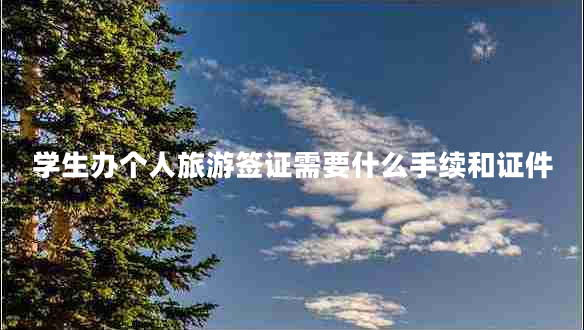 學(xué)生辦個(gè)人旅游簽證需要什么手續和證件