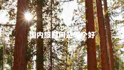 國內旅游網(wǎng)站哪個(gè)好