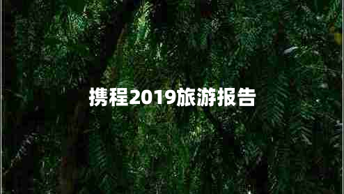 攜程2019旅游報告