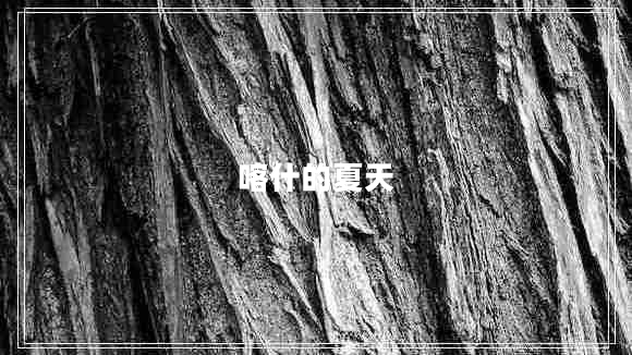 喀什的夏天