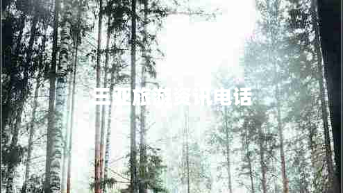 三亞旅游資訊電話(huà)