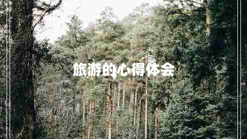 旅游的心得體會(huì )
