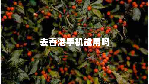 去香港手機能用嗎