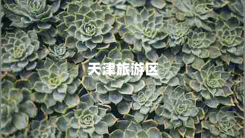 天津旅游區