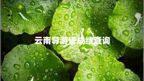 云南導游證成績(jì)查詢(xún)