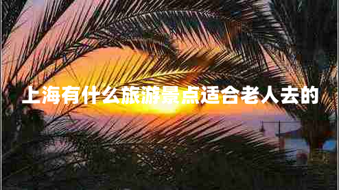 上海有什么旅游景點(diǎn)適合老人去的